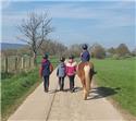 Veranstaltungsbild Rally mit dem Pferd durch Feld und Wald
